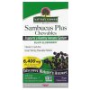 Nature's Answer - Sambucus Plus Chewables
