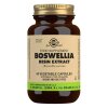 Boswelliaharpiksekstrakt - 60 vegetabilske kapsler