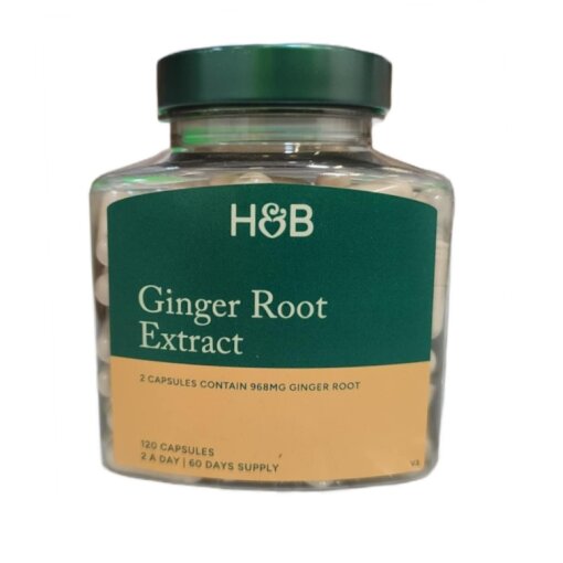 Ginger Root Extract - 120 caps