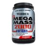 Mega Mass 2000