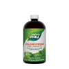 Nature's Way - Chlorofresh® Liquid Chlorophyll (480 ml