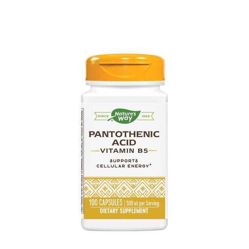 Nature's Way - Vitamin B6 (100 Capsules)