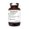 KENAY Boswellis Casperome Indena Phytosome - extract (60 caps)