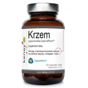 KENAY LipoCellTech liposomal silicon (60 caps)