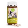 TIERLIEB Corpofit - vitality for dogs and cats (150 tabs)