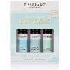 TISSERAND AROMATHERAPY The Little Box Of De-Stress (3 x 10 ml / 3 x 0