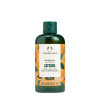 The Body Shop Satsuma Shower Gel (250 ml