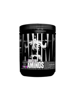Animal