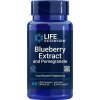 Life Extension - Blueberry Extract with Pomegranate - 60 vcaps