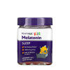 Natrol - Natrol Kids Melatonin Berry Gummies (60 Gummies