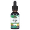 Nature's Answer - Ginger Root
