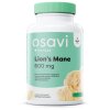 Osavi - Lion's Mane