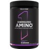 Rule One - Energized Amino