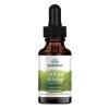 Swanson - Ginkgo Biloba Liquid Extract